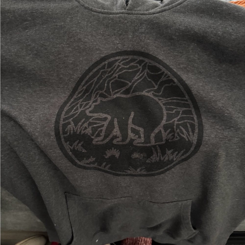 Men's Gray Bear Graphic Sweater